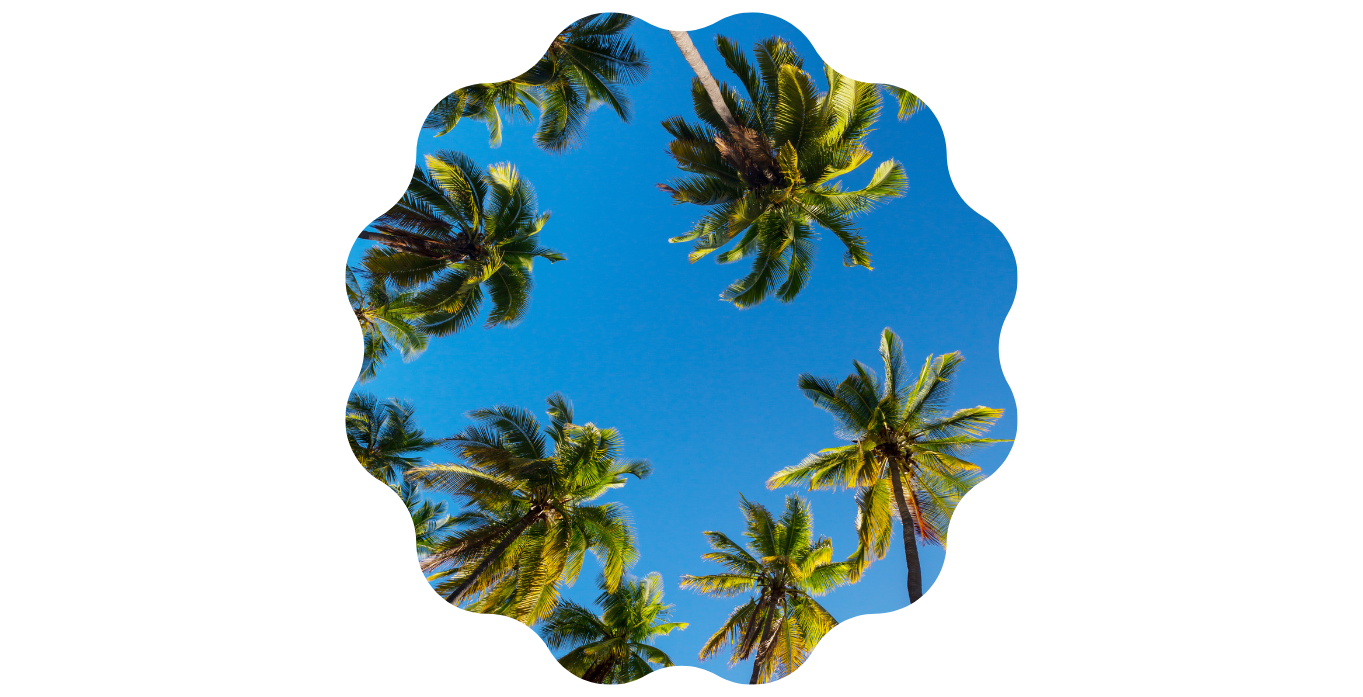palms